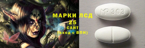 прущие грибы Бронницы