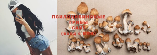 мяу мяу мука Вязьма
