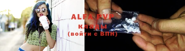 твердый Вяземский