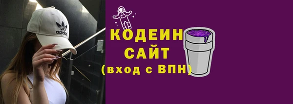 твердый Вяземский