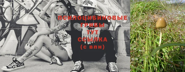 гидра Вязники