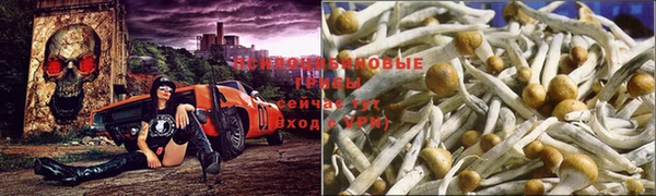 твердый Вяземский