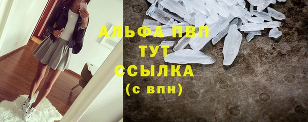 гидра Вязники