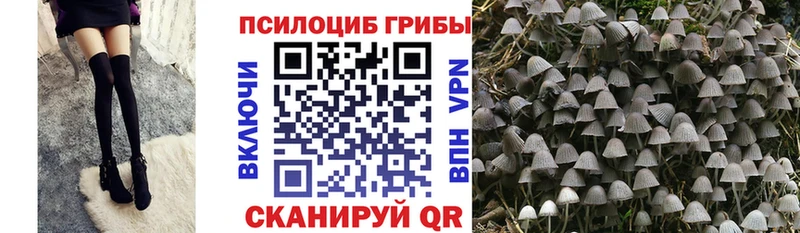 Галлюциногенные грибы мицелий  где найти наркотики  Ишимбай 
